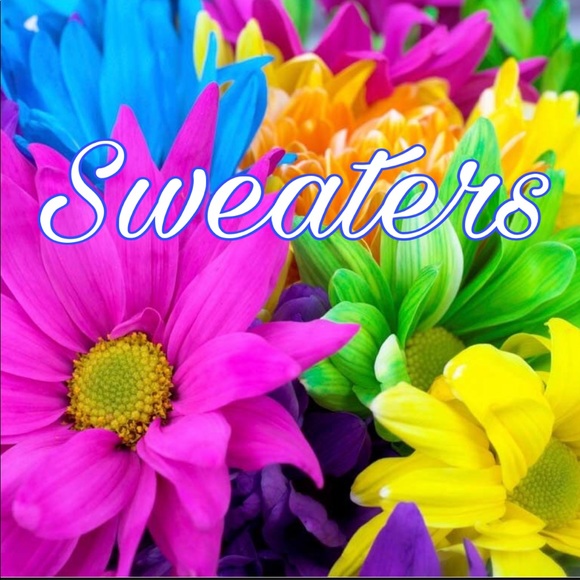 Sweaters - Picture 3 of 3